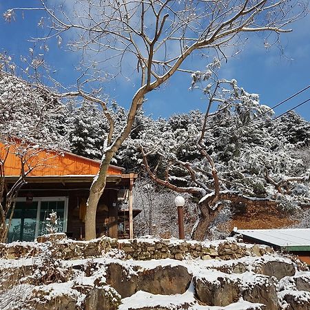 Bluesky Pension Pocheon Eksteriør billede