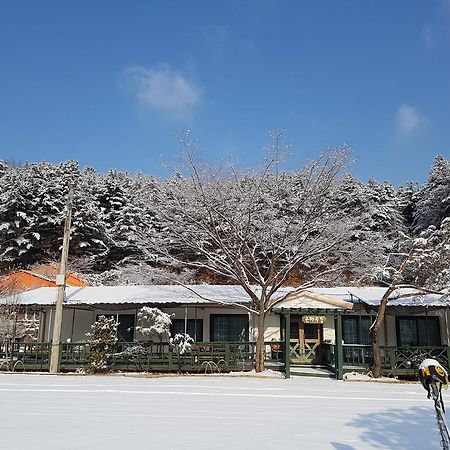 Bluesky Pension Pocheon Eksteriør billede