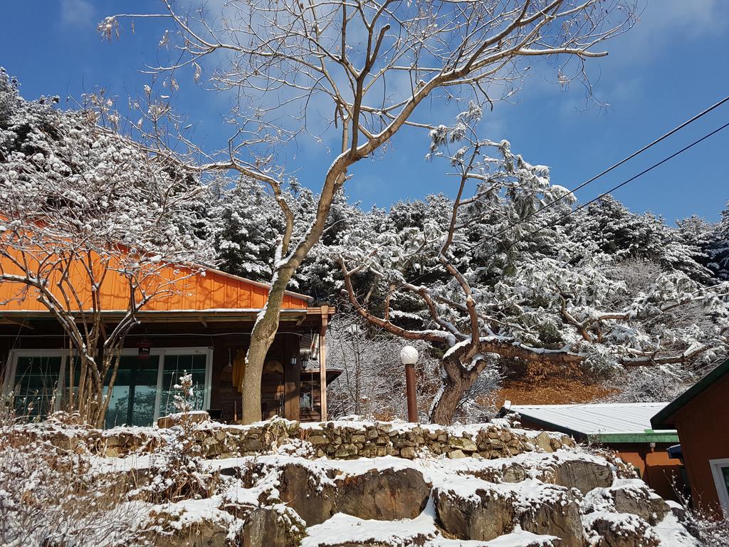 Bluesky Pension Pocheon Eksteriør billede