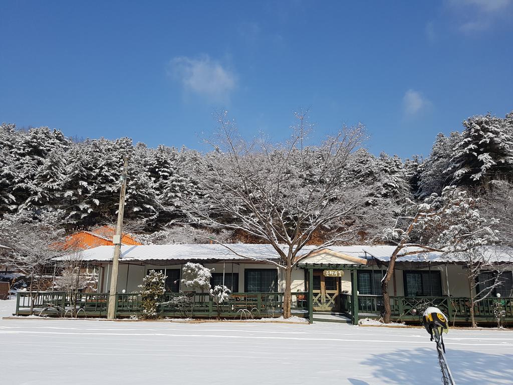 Bluesky Pension Pocheon Eksteriør billede